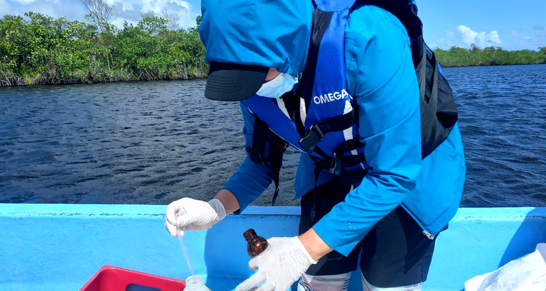Acidificación oceánica, origen e impacto en los ecosistemas marinos