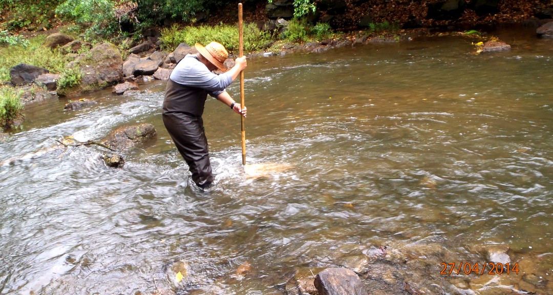 Durante la colecta de macroinvertebrados por investigadores de CIRA.