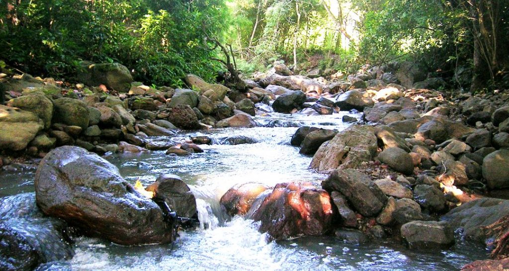 Los diques protegen a los suelos contra la erosión y reducen efectos del cambio climático