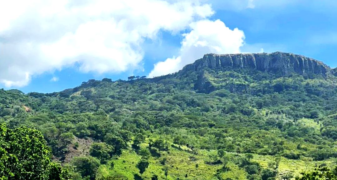 Reserva Silvestre Francisco Guzmán Pasos: un encuentro con la naturaleza para aprender, crear, interpretar y transformar
