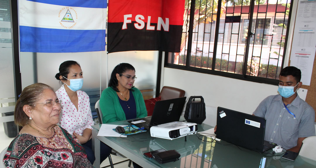 Académicos participan en seminario web sobre Modelos de Extensión Universitaria