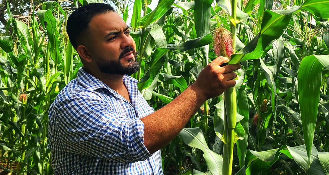 Luis Avellán: un protagonista de la educación superior al servicio del desarrollo rural