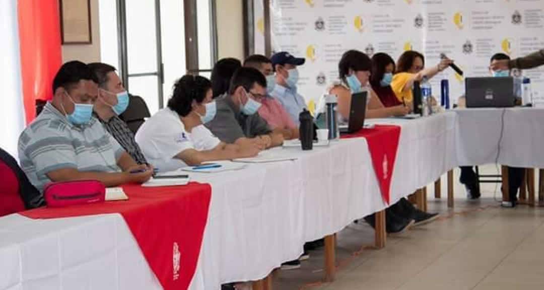 Taller sobre introducción a los desempeños ciudadanos y profesionales