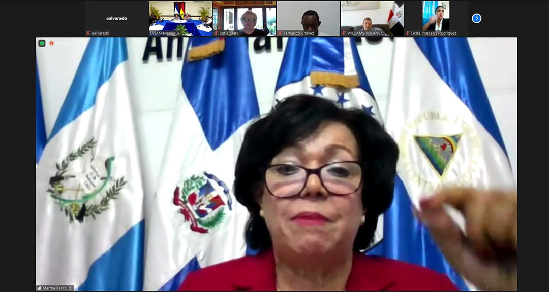 Diputada Martha Pérez durante su intervención