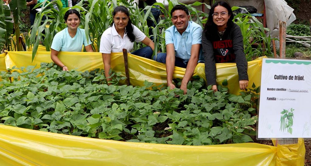 Agricultura sostenible mediante prácticas que aportan a la seguridad alimentaria y al medioambiente