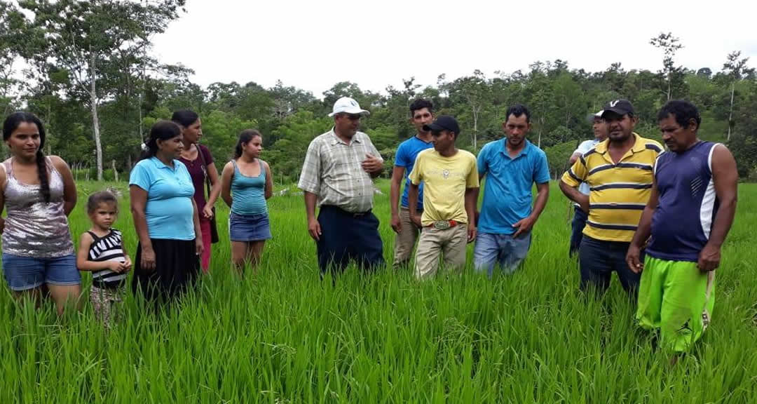 José Lazo egresado de la Carrera Desarrollo Rural Sostenible, del programa UNICAM capacita a 12 productores de la comunidad San Luis del municipio de San Carlos.