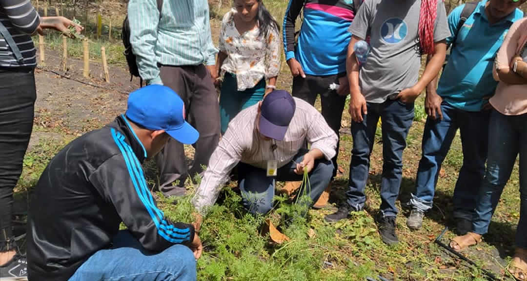 Estudiantes de UNICAM en gira de campo en la estación Biológica 