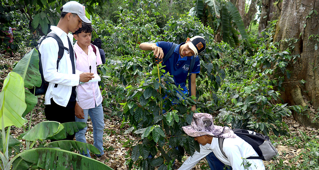 Ingeniería Agronómica, profesión clave en el desarrollo del sector productivo