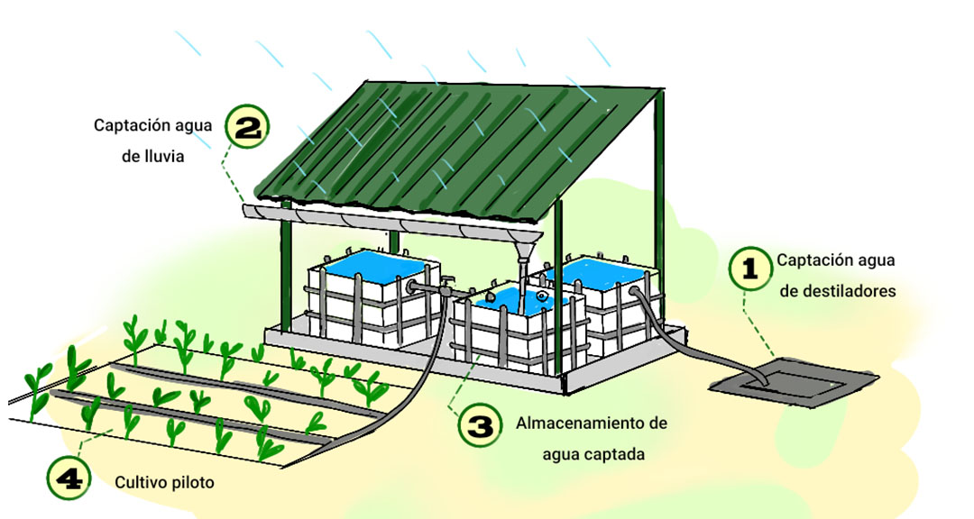 UNAN-Managua impulsa proyecto para la disminución del consumo de agua potable