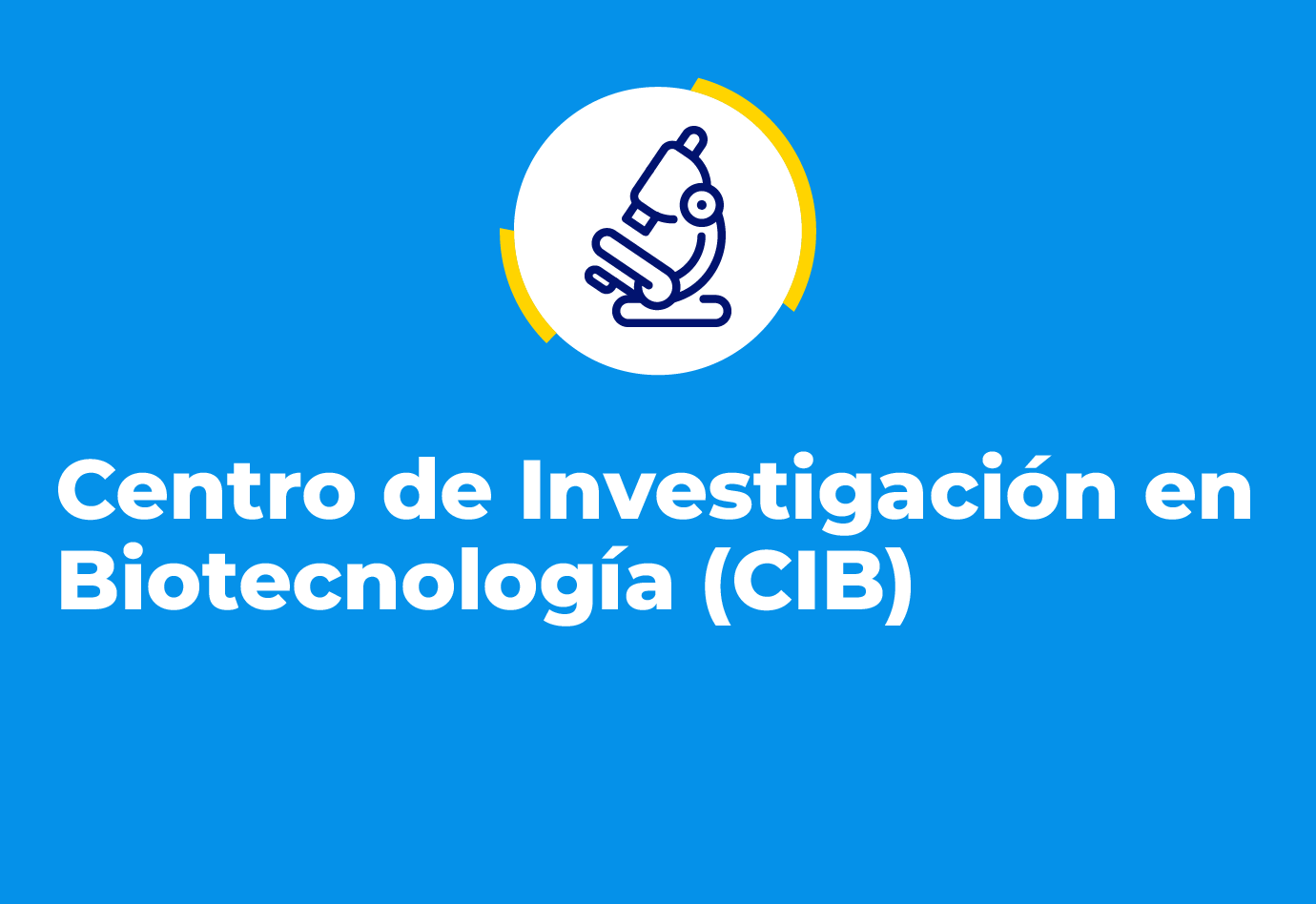 Descripción imagen 3
