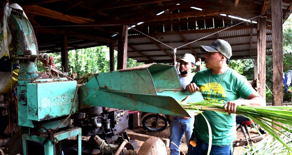 Producción y comercialización de ensilaje de maíz NB6: una experiencia académica y productiva en la comunidad El Abra, municipio de La Conquista, Carazo