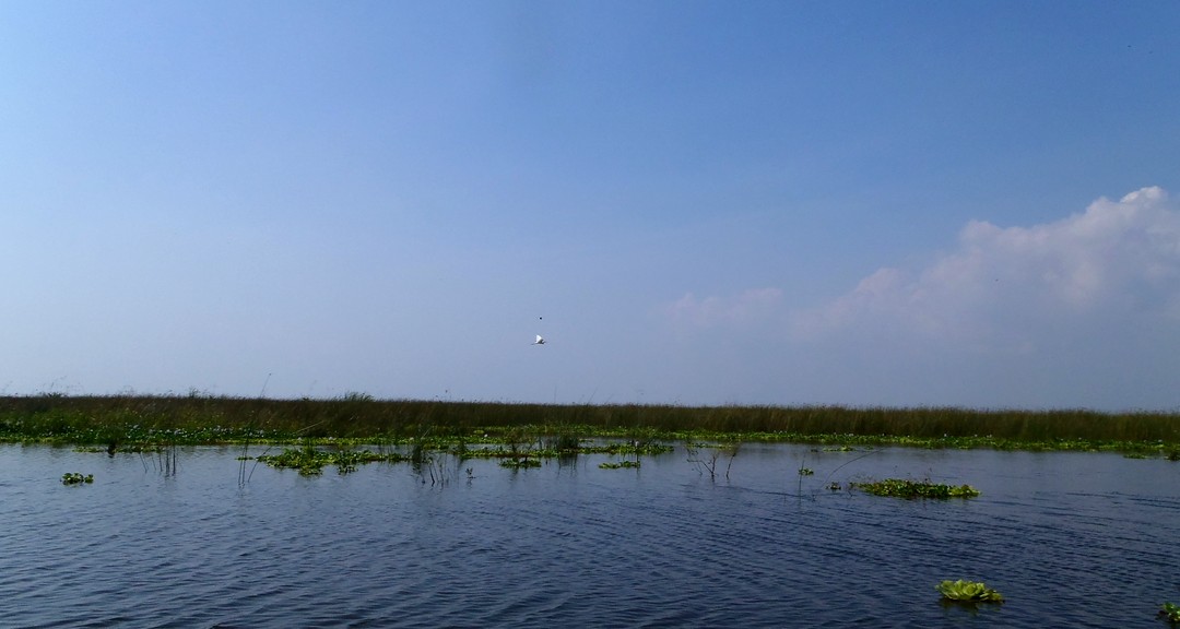 ENTRANDO HACIA TISMA_3.JPG