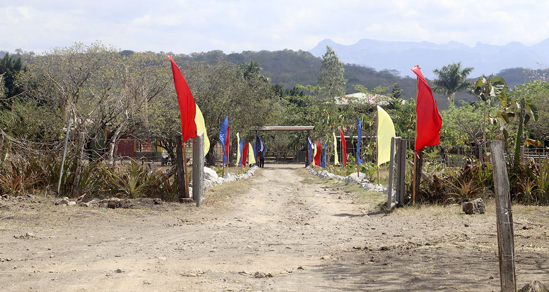 Fauna de la Reserva Silvestre Privada Estación Biológica Francisco Guzmán Pasos UNAN-Managua.