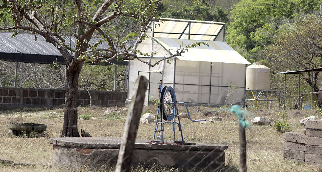 Fauna de la Reserva Silvestre Privada Estación Biológica Francisco Guzmán Pasos UNAN-Managua.