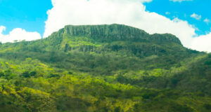 UNAN-Managua, institución comprometida con la protección de la madre tierra