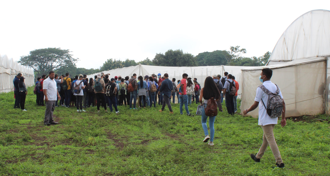 Setenta y tres estudiantes de la carrera de Ingeniería Agronómica de la FAREM-Carazo participaron en esta visita de campo en la finca La Nueva Palestina.