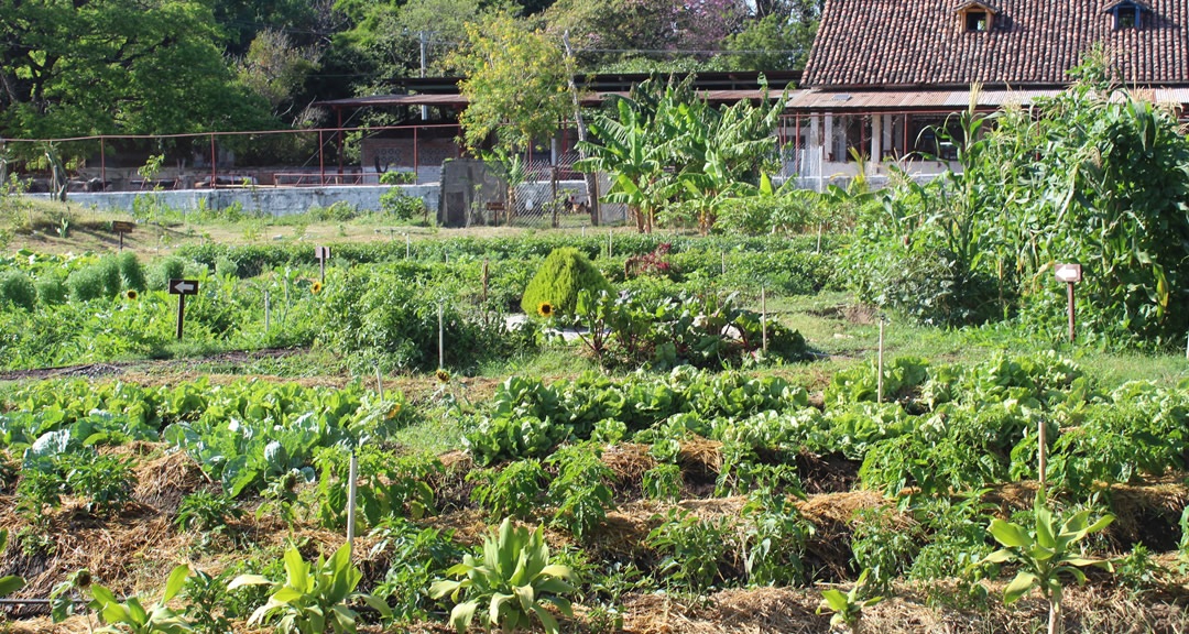 Eco-Vivarium de la UNIAV.