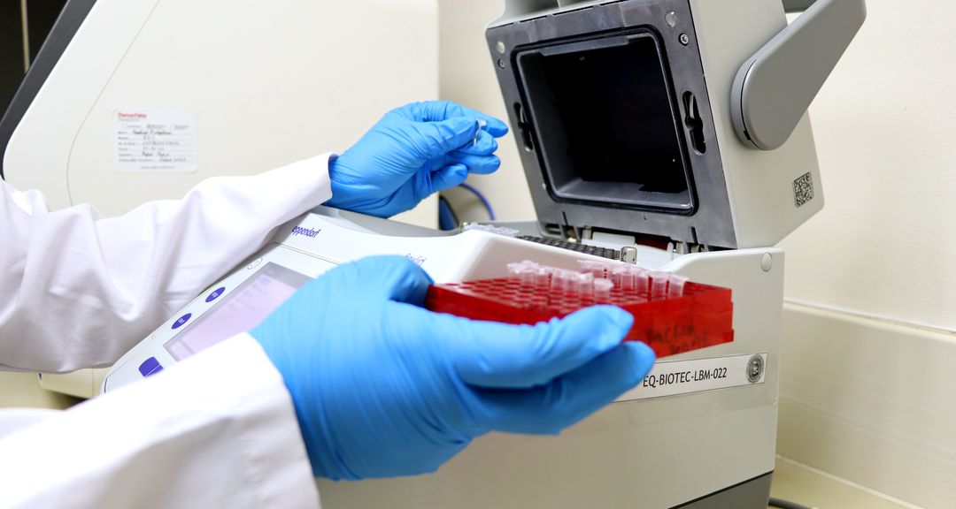 La UNAN-Managua cuenta con espacios científicos como el Centro de Investigación en Biotecnología dedicados a la...