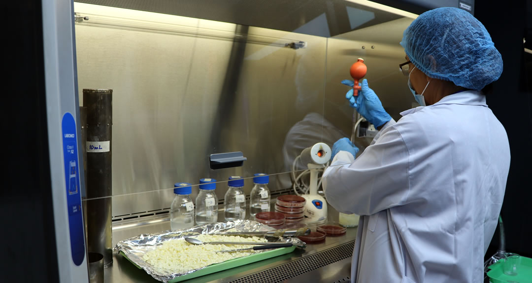 Inocuidad de los Alimentos, tema de relevancia para garantizar la salud