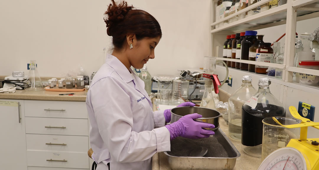 Los plaguicidas: Efectos ambientales y en la salud humana