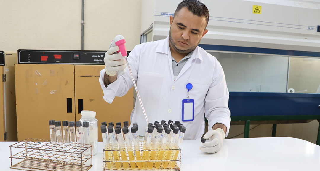 Indicadores microbiológicos, esenciales para determinar la calidad del agua
