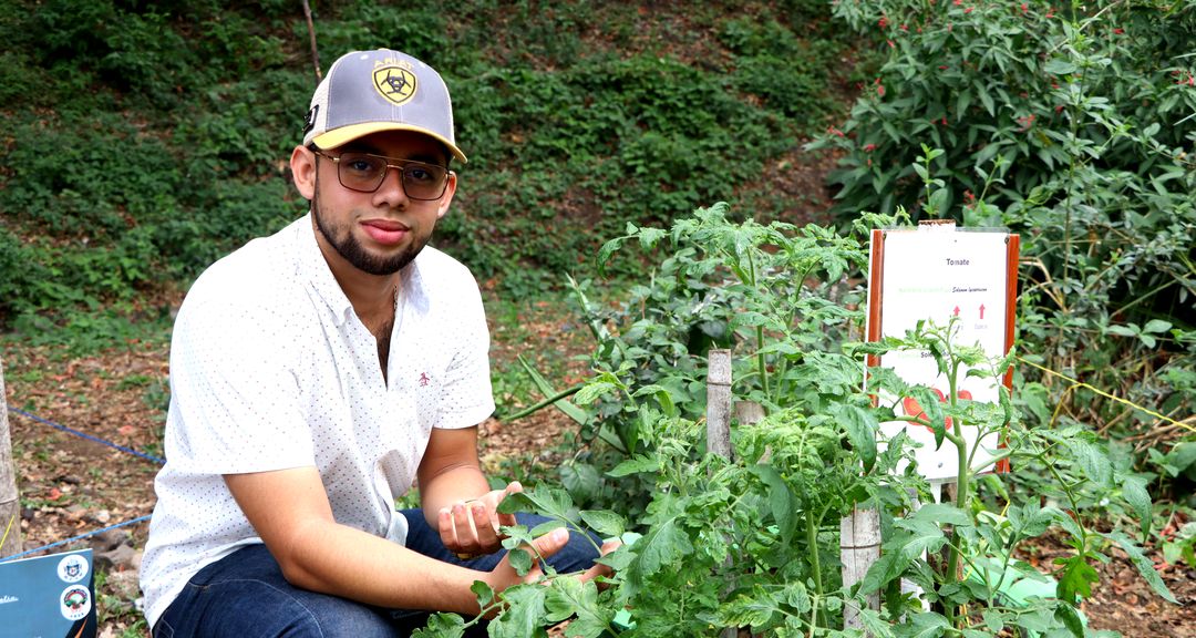 Agricultura regenerativa, base fundamental de la soberanía alimentaria