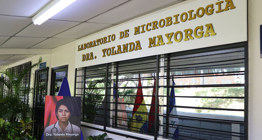 Biotecnología y Biorremediación: El quehacer científico del Laboratorio de Microbiología del CIB