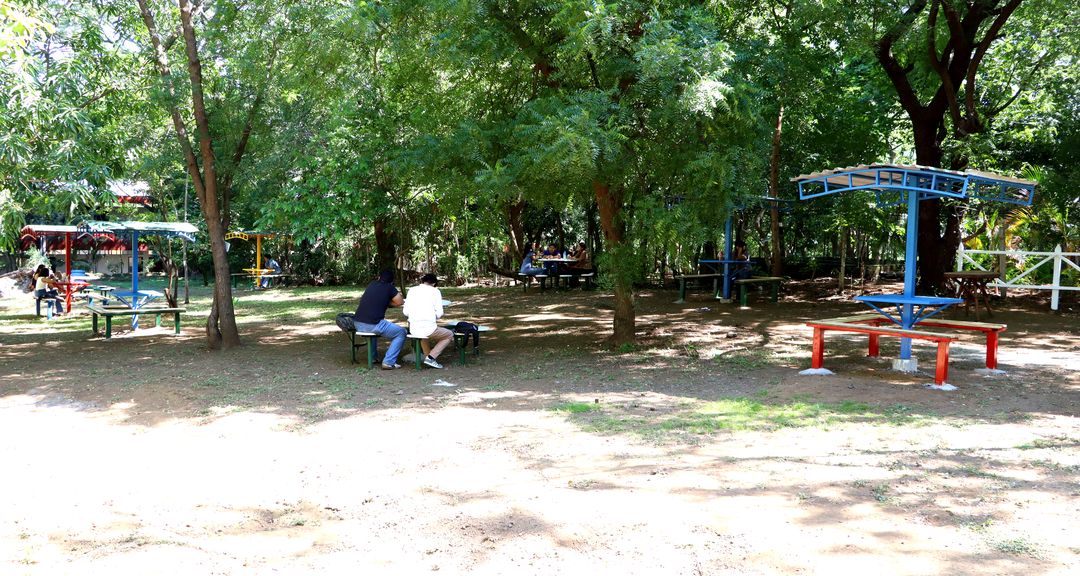 IMG_7970.JPG