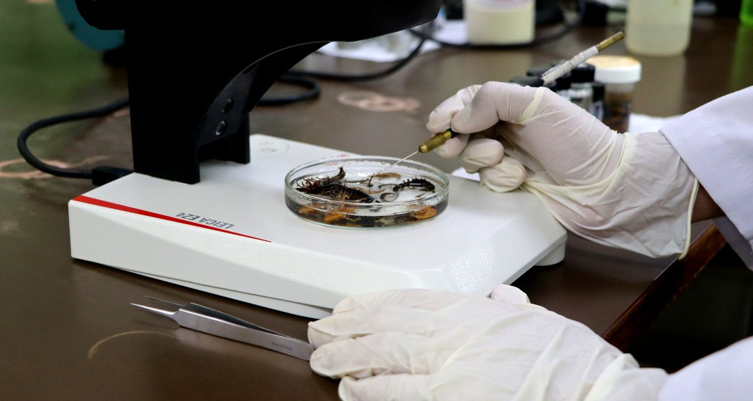Los macroinvertebrados acuáticos, aliados en la gestión de los recursos hídricos: Aportes de UNAN-Managua/CIRA
