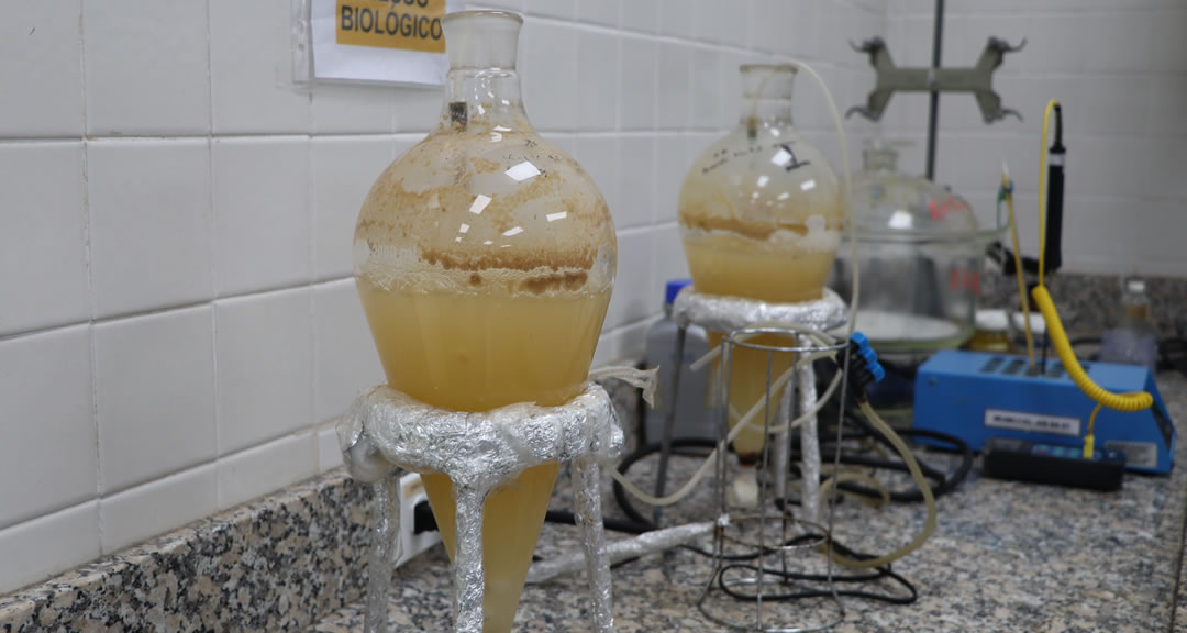 Estimación de la Biodegradabilidad Última Fácil, proceso que aporta a la conservación de los recursos naturales