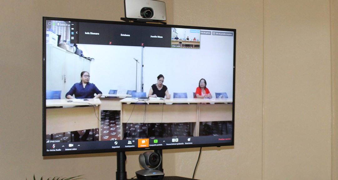 Miembros de PERii durante la videoconferencia