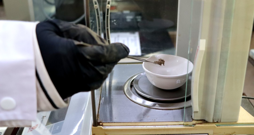 Técnicas nucleares, herramientas esenciales para el estudio de la sedimentación en ecosistemas acuáticos