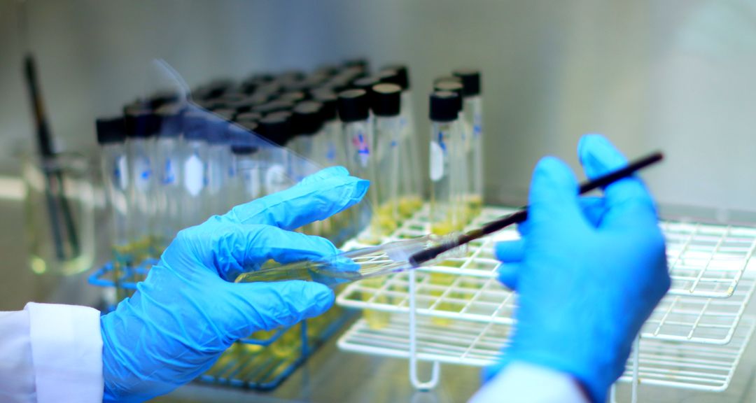 Laboratorio de Microbiologia 2.JPG