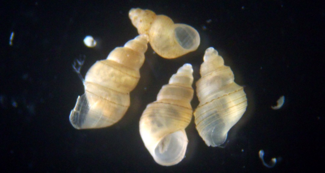P3060008