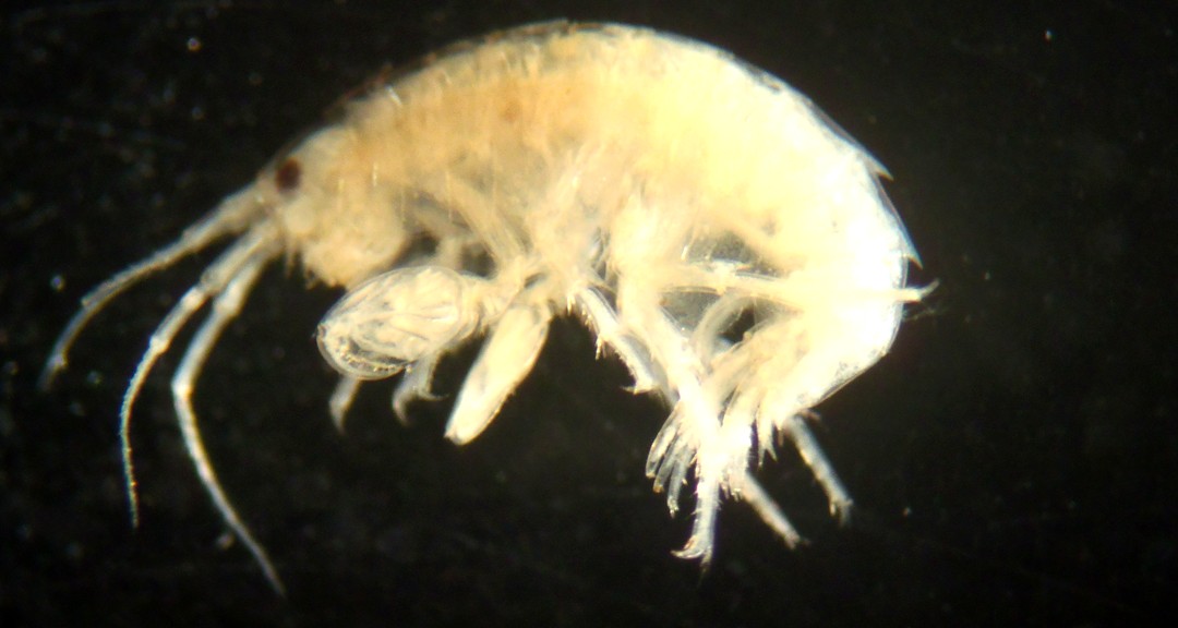 PA218579