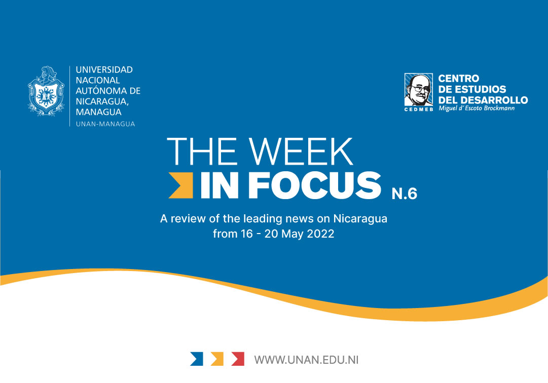 The Week In Focus N.06