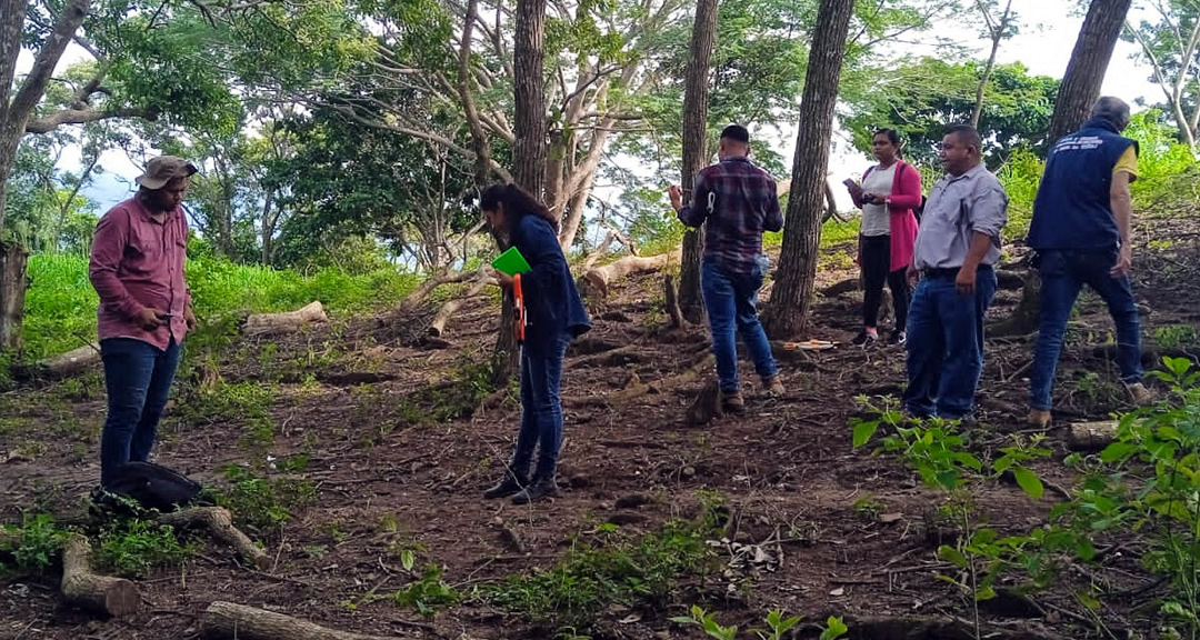 Profesionales contribuyen a la protección y conservación de áreas protegidas