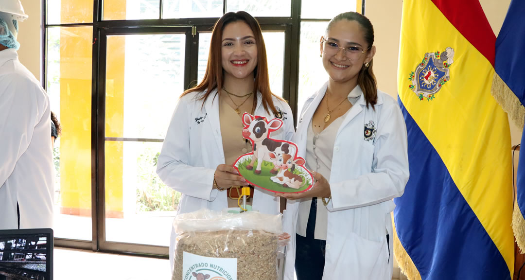 Proyecto concentrado nutricional para terneros a base de pulpa de naranja