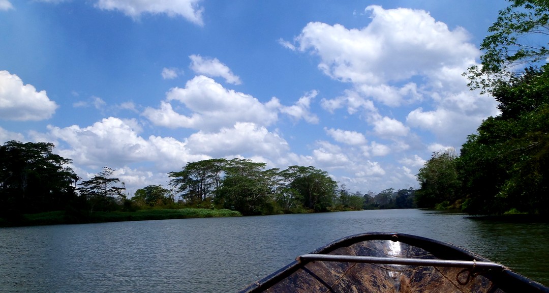 RIO PUNTA GORDA_0.JPG