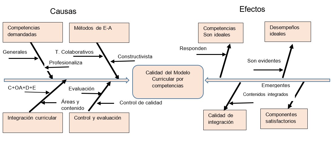 Figura: Diagrama de causas y efectos en el que se relacionan las variables que sustentan el Modelo Curricular para el Desarrollo de Competencias. Fuente propia.