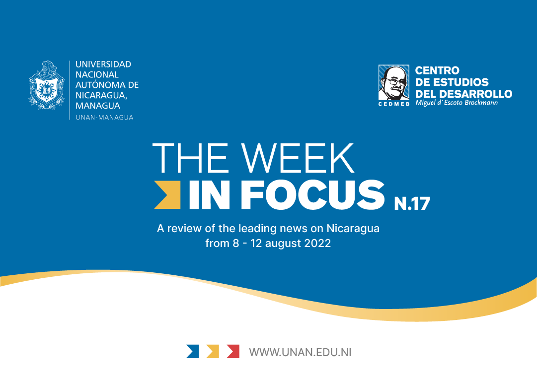 The Week In Focus N.17