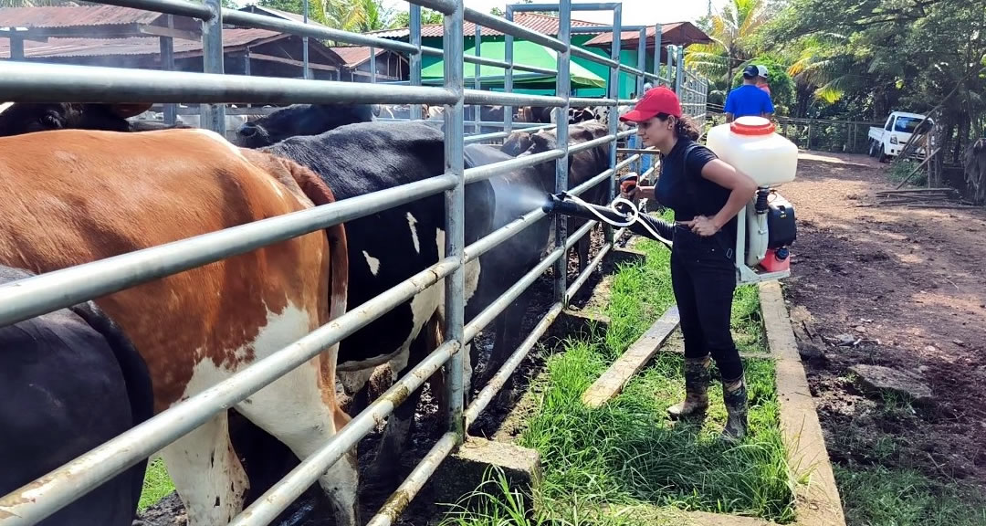 Formación de profesionales de agronomía, tarea clave en el mejoramiento de la producción agropecuaria