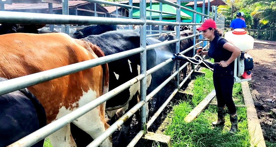 Programa UNICAM: Formación profesional comprometida con el desarrollo de la Capital del Cacao, Waslala