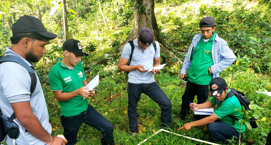 Agricultura regenerativa, base fundamental de la soberanía alimentaria