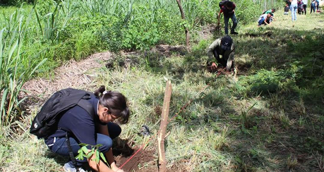 En la creación del bosque medicinal participaron estudiantes y académicos de la UNAN-Managua y miembros del movimiento del Movimiento Ambientalista Guardabarranco