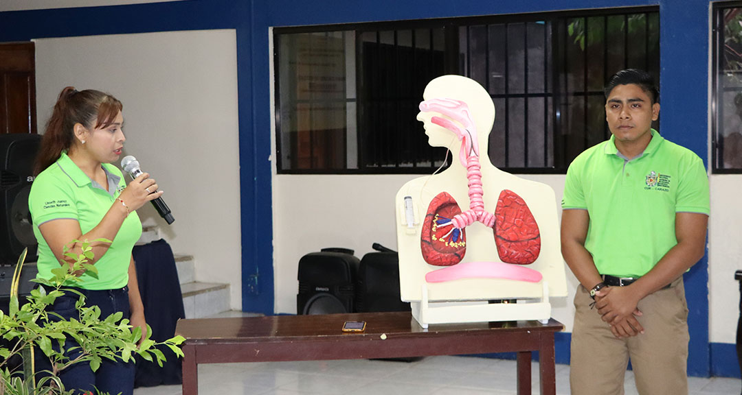 Maqueta creativa del cuerpo humano