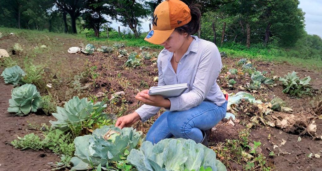 Ingeniería Agronómica: Educación y desarrollo en las comunidades rurales