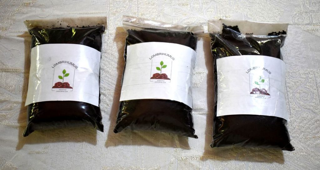 Innovación Agroecológica que Transforma la Producción de Plantas Ornamentales