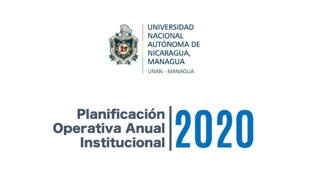Plan Operativo Anual Institucional 2020