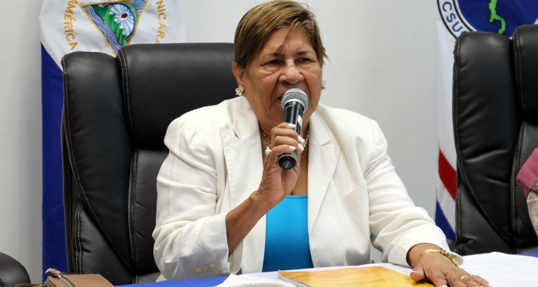 Doctora Jilma Romero presenta avances y desafíos de la extensión universitaria en el Foro Permanente de la Educación Superior